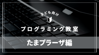 tamaplaza-programming-school